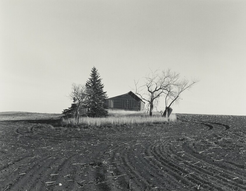 House Plowed Around, North Dakota