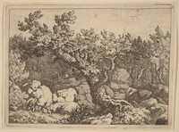 Sportsman near a Large Tree, Allart van Everdingen, probably c. 1645/1656