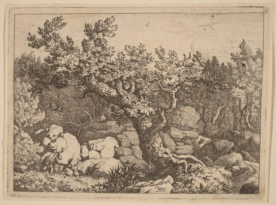 Sportsman near a Large Tree