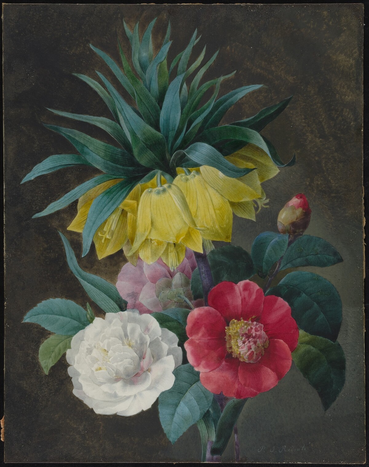 Four Peonies and a Crown Imperial