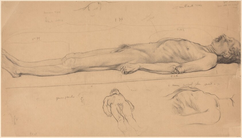 The Corpse (Study for The Dead Christ)