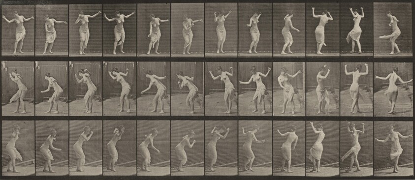 Plate Number 191. Dancing (fancy)