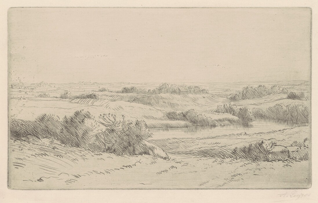 The image shows a landscape viewed from a slightly elevated vantage point. The horizon is visible near the top of the image, emphasizing the vastness of the terrain. The sky and land blend seamlessly at the horizon, with no distinct structures in sight. Delicate cross-hatching is used to create shades and textures, with a monochromatic color palette of soft greys and whites. Sparse bushes are depicted in the foreground, with denser vegetation further away, leading to the open landscape in the distance. The linework captures the natural textures of the earth and greenery, resulting in a serene and detailed scene.