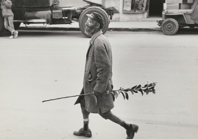 Be'er Sheva, a Moroccan Jew carries a holiday branch, Israel