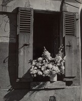 Fenêtre et fleurs (Window and Flowers), Brassaï, 1946
