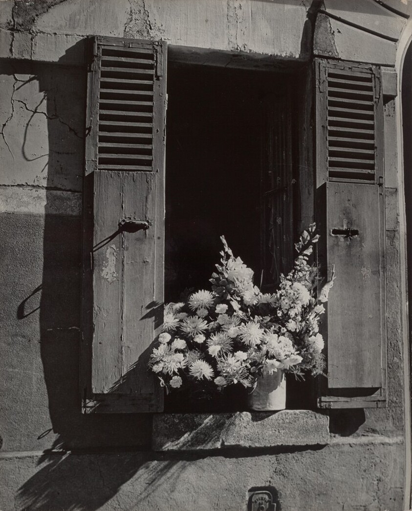 Fenêtre et fleurs (Window and Flowers)