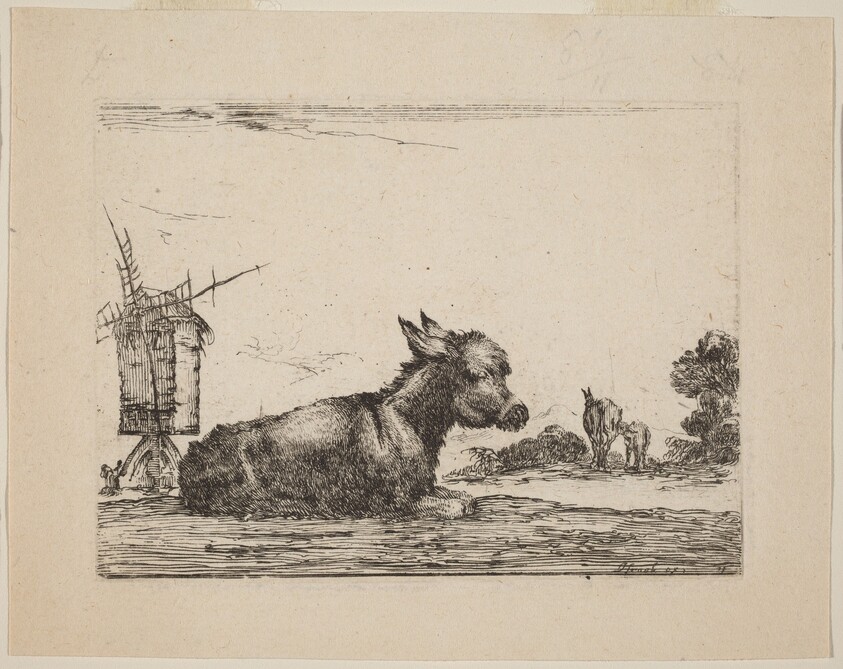 Donkey Resting
