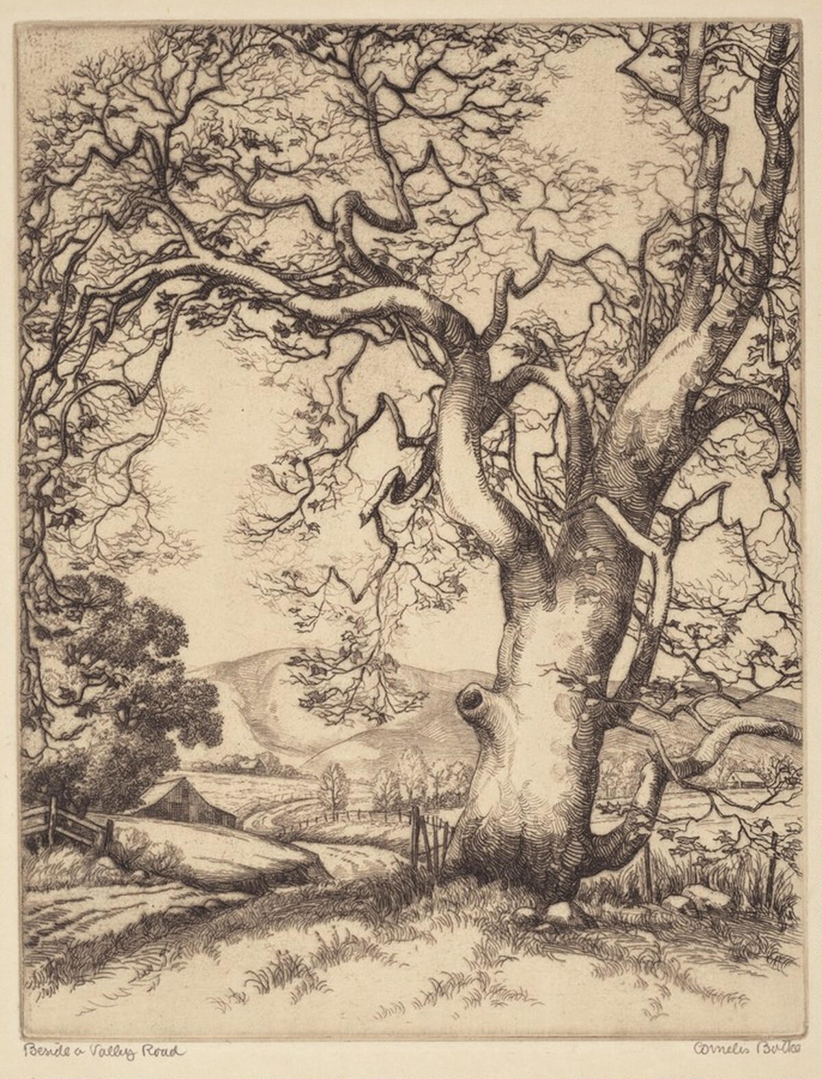 Beside a Valley Road