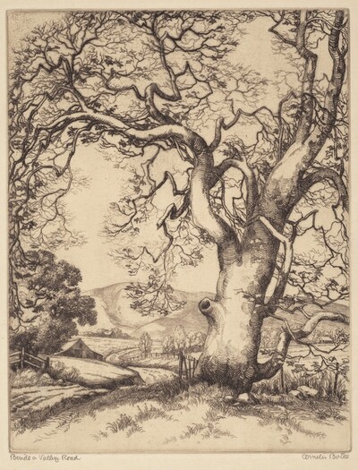 Beside a Valley Road