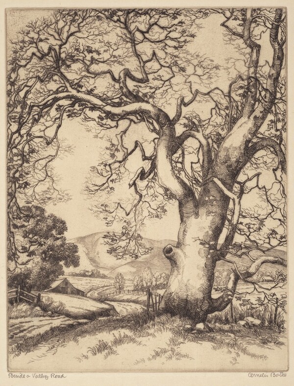 Beside a Valley Road