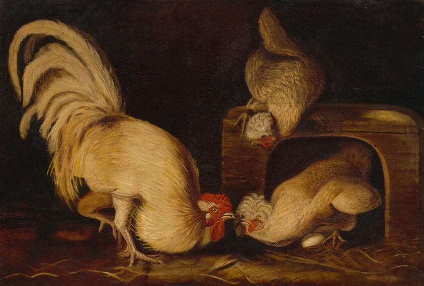 Farmyard Fowls