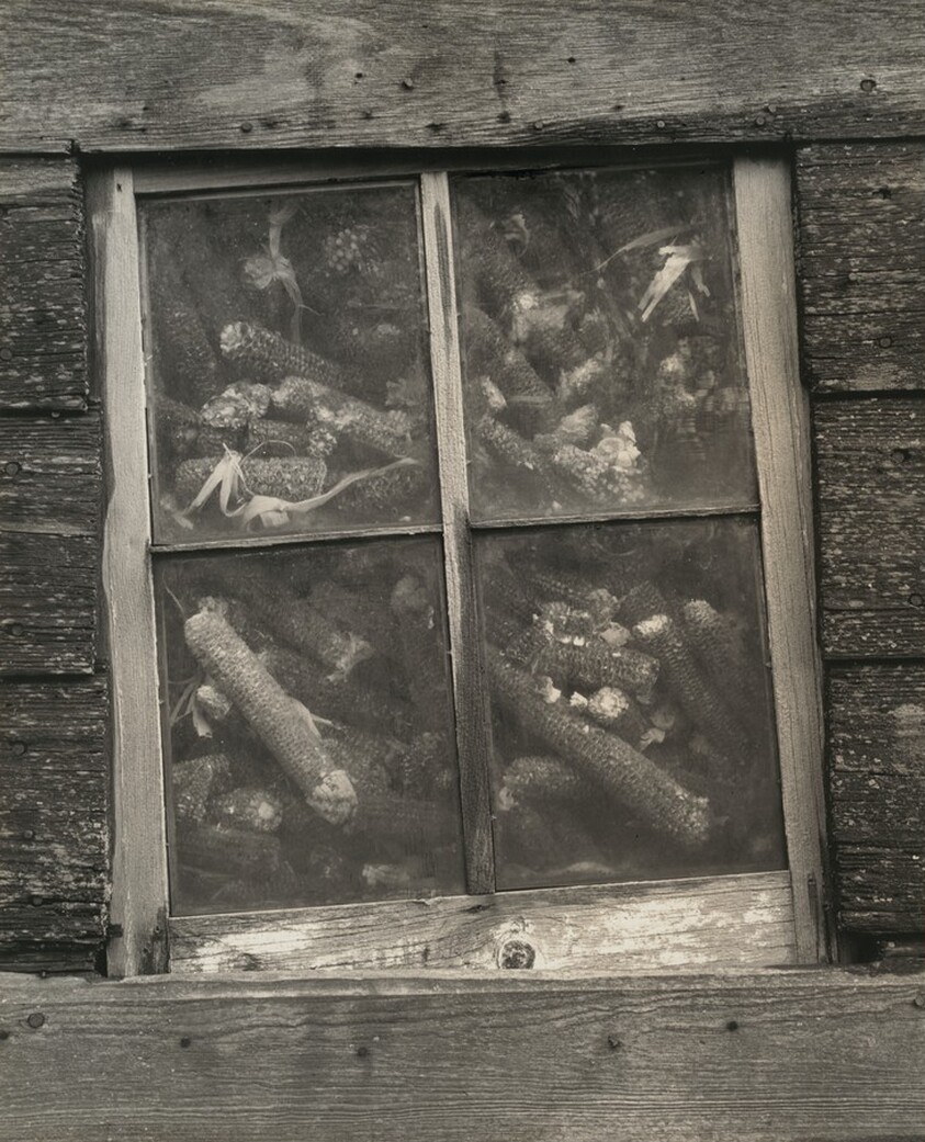 Corncrib with Cobs at Window