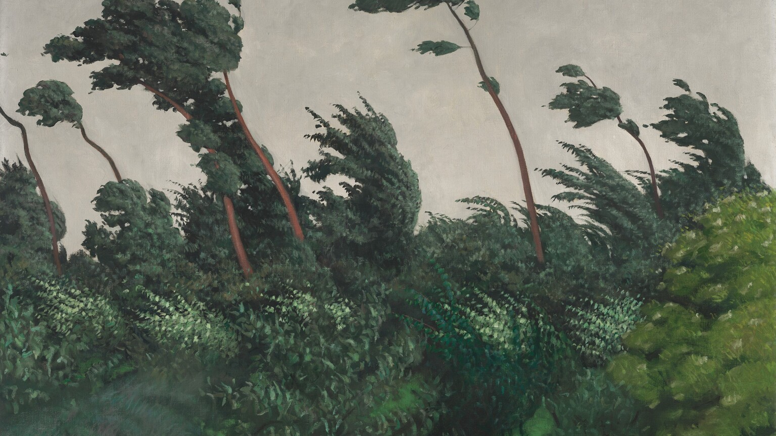 Tall trunks and the canopies trees sweep to our left in a stiff wind in this horizontal landscape painting. The bottom half of the canvas is packed solid with leafy trees. Several spindly trunks shoot high above the canopy against a sky mottled with a sheet of pale gray clouds. The artist signed and dated the painting in the lower left corner, “F. VALLOTTON. 10.”