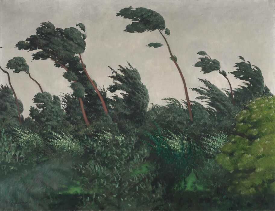 Tall trunks and the canopies trees sweep to our left in a stiff wind in this horizontal landscape painting. The bottom half of the canvas is packed solid with leafy trees. Several spindly trunks shoot high above the canopy against a sky mottled with a sheet of pale gray clouds. The artist signed and dated the painting in the lower left corner, “F. VALLOTTON. 10.”