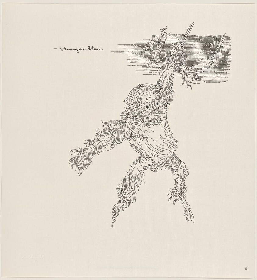 Owl Feathers: page 15