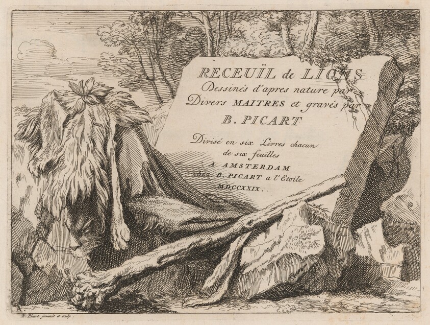 Recueïl de Lions: Dessinés d'après nature par divers maitres et gravés par B. Picart (Collection of Lions: Drawn from nature by Various Masters and Engraved by B. Picart)