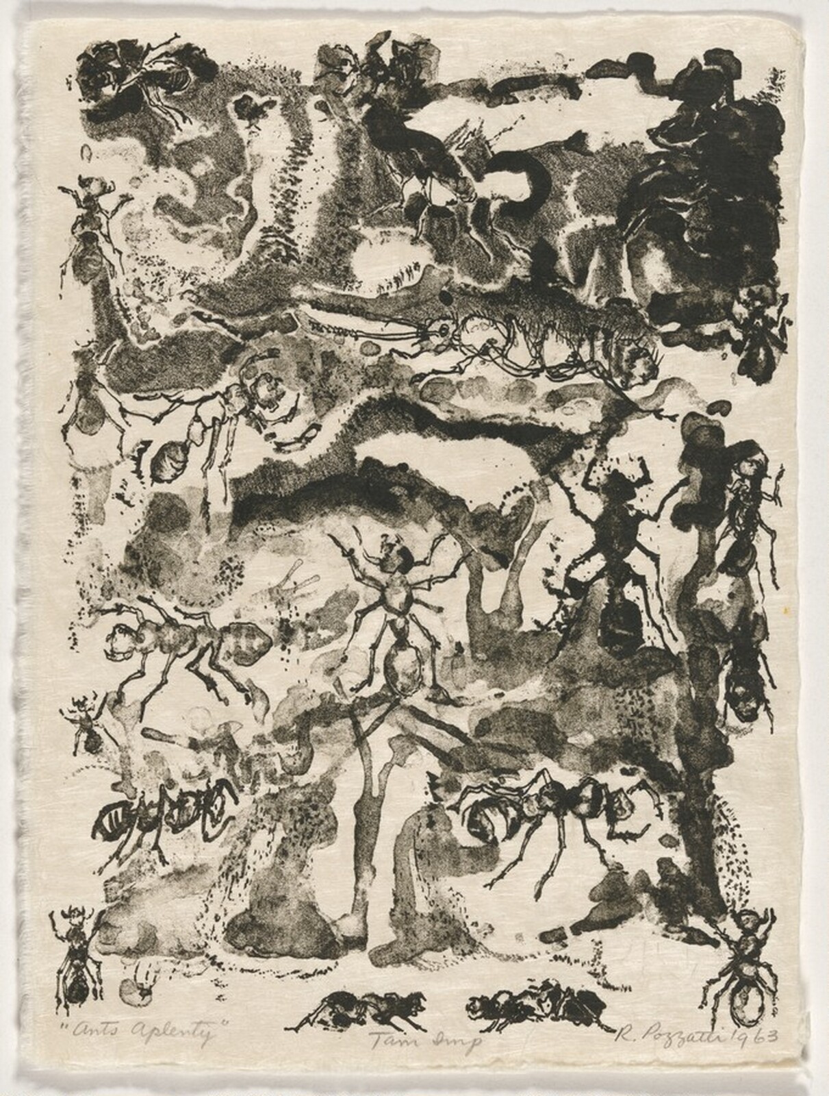 Ants Aplenty from Bugs, Rudy Pozzatti, 1963