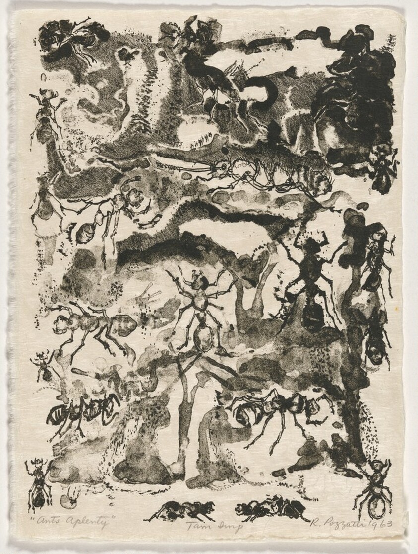 Ants Aplenty from Bugs