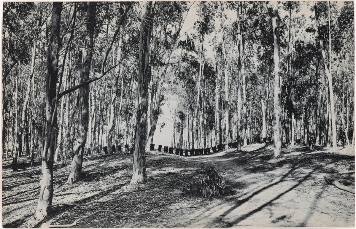 100 Boots Cross County. Miramar Road, California. September 8, 1971, 4:10 p.m.