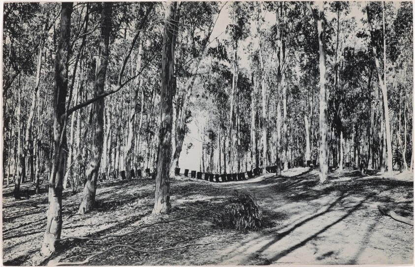 100 Boots Cross County. Miramar Road, California. September 8, 1971, 4:10 p.m.