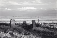 Summer, early morning, an immigrant cemetery. North of Bethune, Colorado, Robert Adams, 1965