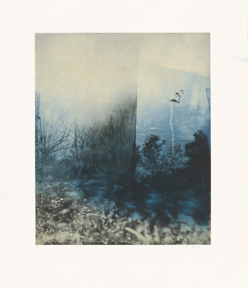 24th at Carolina (Center)