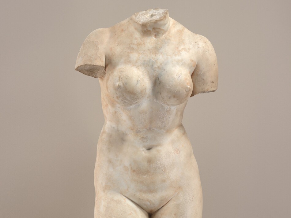 A female torso from the neck to the shoulders and knees is carved from white marble in this freestanding sculpture. The body is square toward us in this photograph. The neck is jagged where the head has broken off, and the arms are missing below the shoulders. The leg on our right is broken off above the knee and the other below the knee. Firm, round breasts are above a soft belly and smooth groin. Some areas of the surface are smooth and others are rough, and the marble has darkened to tan in places. The sculpture is supported by a metal rod on our right, and the work rests on a square base. The wall behind is light gray.
