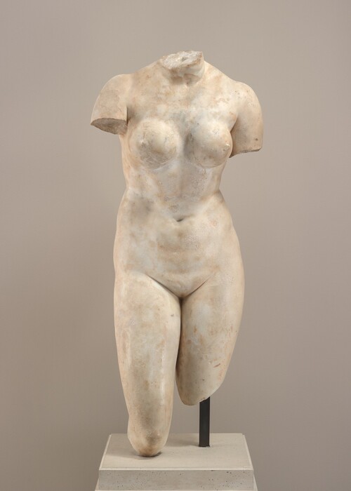 A female torso from the neck to the shoulders and knees is carved from white marble in this freestanding sculpture. The body is square toward us in this photograph. The neck is jagged where the head has broken off, and the arms are missing below the shoulders. The leg on our right is broken off above the knee and the other below the knee. Firm, round breasts are above a soft belly and smooth groin. Some areas of the surface are smooth and others are rough, and the marble has darkened to tan in places. The sculpture is supported by a metal rod on our right, and the work rests on a square base. The wall behind is light gray.