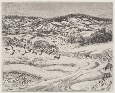 Wintry Fields