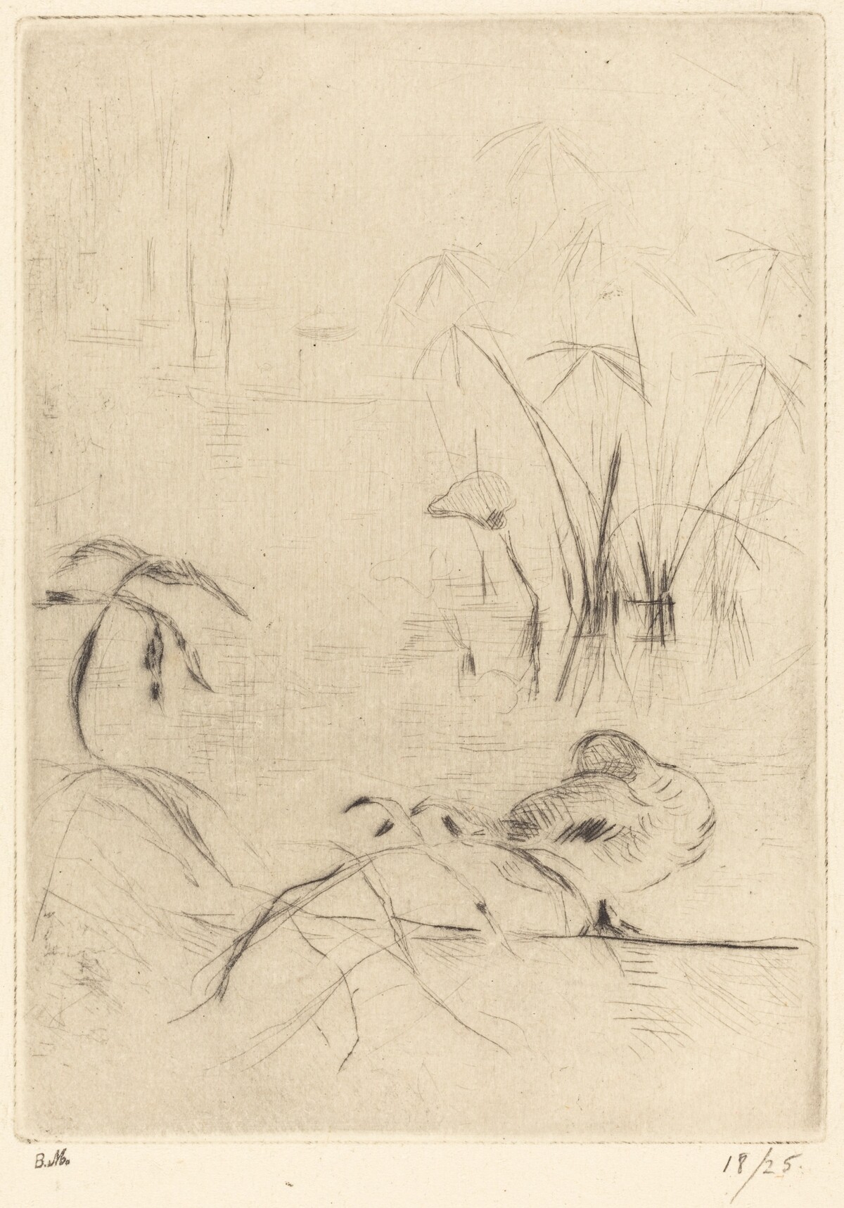 Ducks at Rest on the Bank