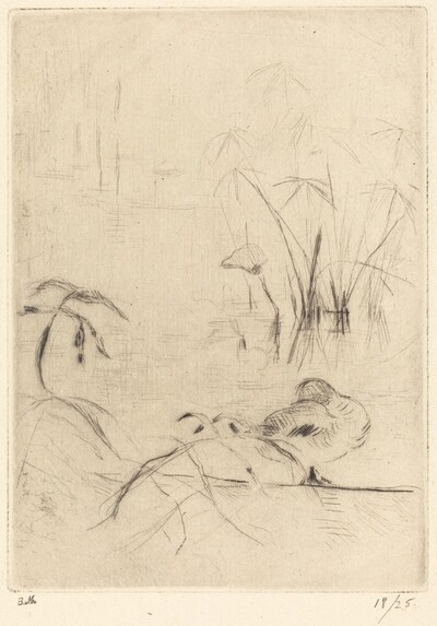 Ducks at Rest on the Bank
