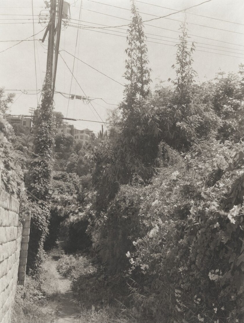 Rustic Road, Pacific Palisades