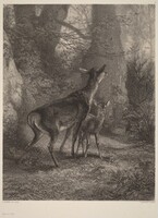 Biche et Faon, Karl Bodmer