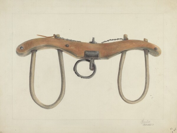 Oxen Yoke