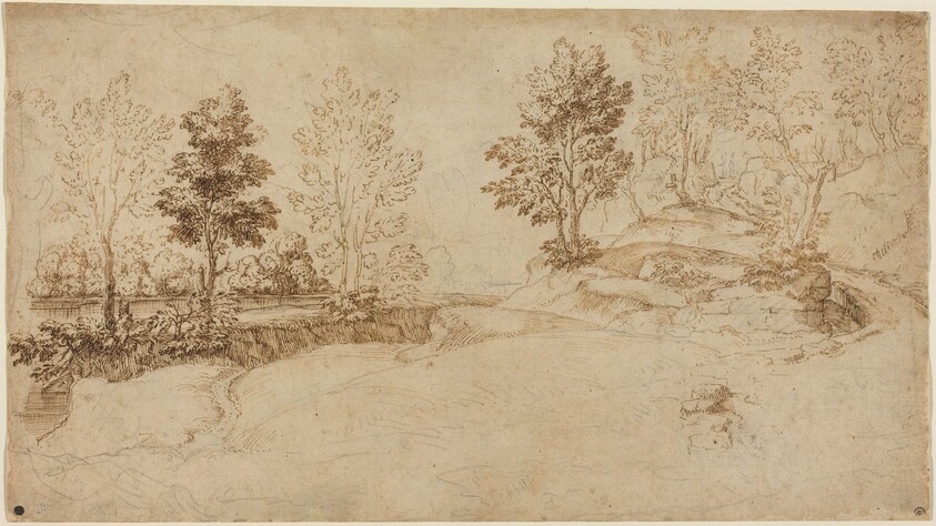River Landscape