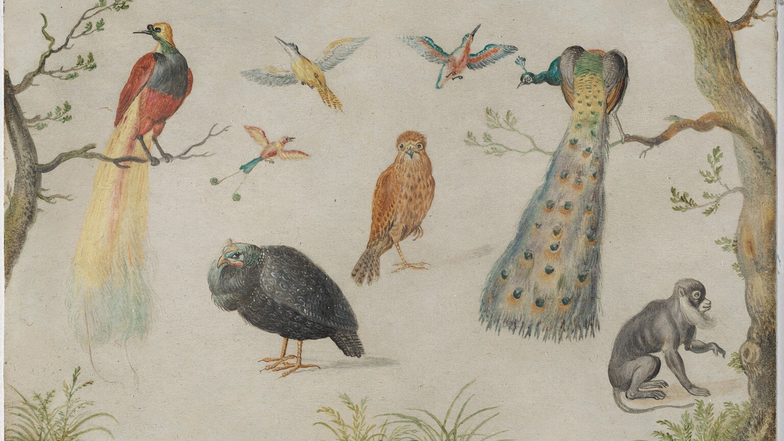 Birds either standing or flying, a monkey, and two trees. 