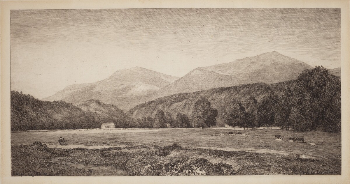 White Mountains
