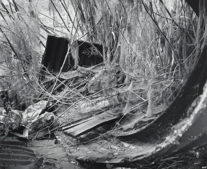 San Quentin Point, no. 8