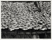 Pescaditos de Oaxaca, México (Little Fish From Oaxaca, Mexico), Graciela Iturbide, 1992