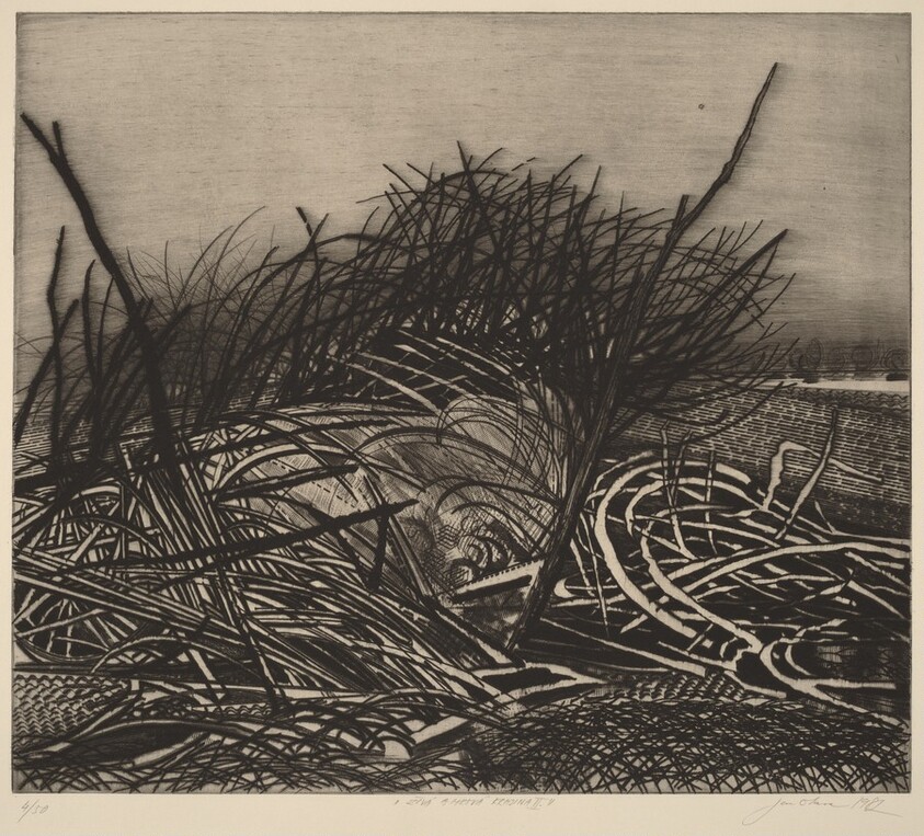 Zivá a mrtvá príroda (Living and Dead Nature)