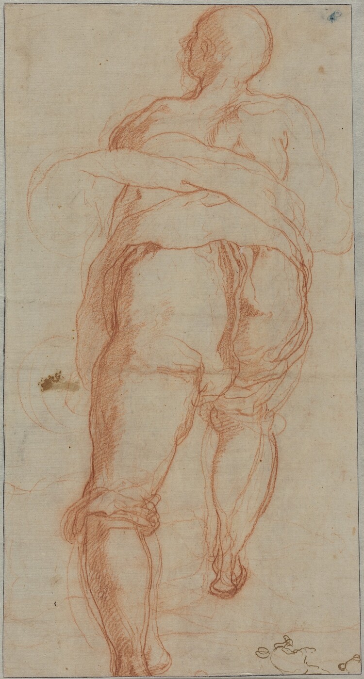 The image shows a full-length figure of a nude person standing with their back to the viewer, captured from an upward angle looking towards the right side of their body. The person's head is turned slightly to the left, giving a partial profile view of their facial features, which are minimally detailed, and they have a bald head. The individual is depicted in a classical pose, with one arm placed across the midsection and the other arm draped along the side. There are no clothing or objects depicted on or around the person, with the focus on the contours and muscles of the figure. The background is a plain, textured surface without any additional objects or scenery, and the drawing style is characterized by flowing lines and a monochromatic color palette.