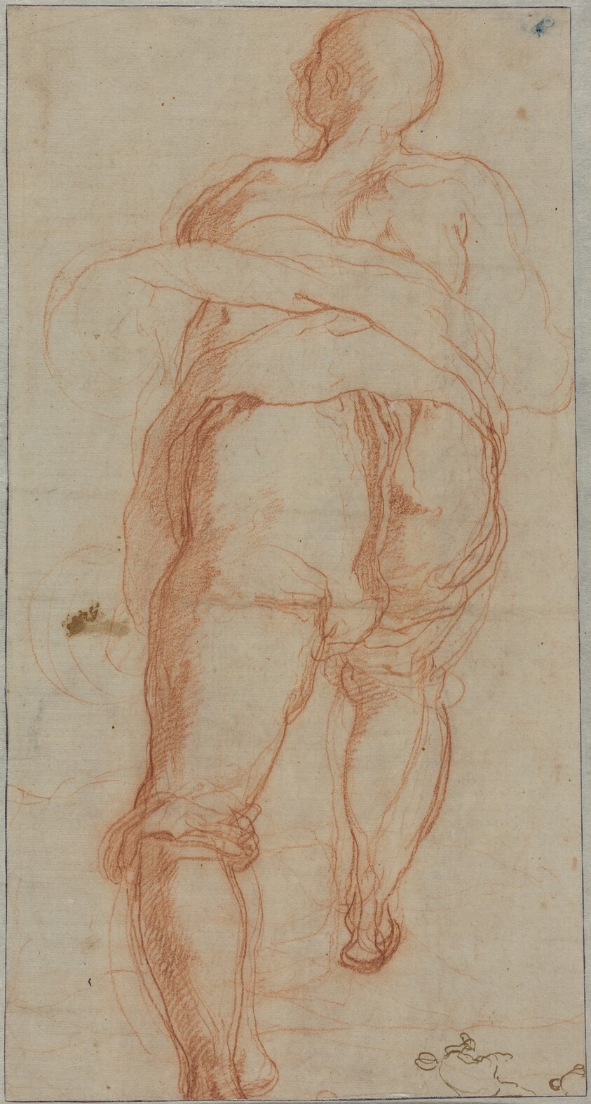 A Man Seen from Behind [verso]