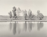 A farm pond about to be destroyed by earth-moving machinery, the north edge of Denver, Colorado, Robert Adams, 1973, printed 1981