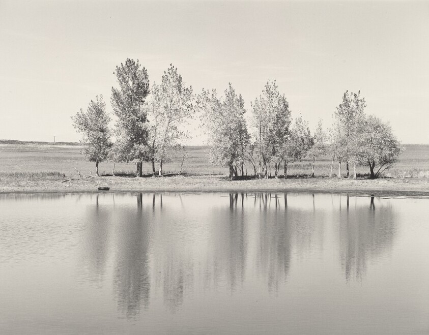 A farm pond about to be destroyed by earth-moving machinery, the north edge of Denver, Colorado
