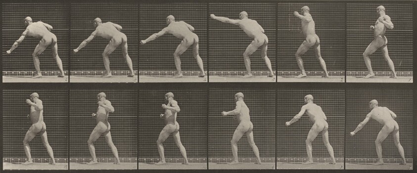 Plate Number 343. Striking a blow with left hand