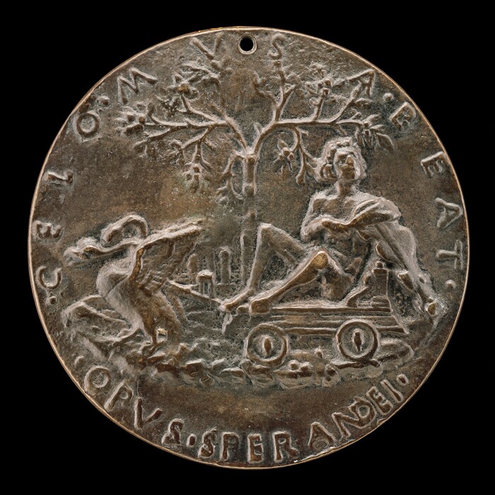 The image shows a circular medal featuring a man seated on a chariot, reading a book. A tree and a bird, likely a swan, are carved in the background. The medal includes inscriptions like "CELO.M.SA.RE.AT." and "OPVS.SPERANDI". It is made of a dark, metallic material with slight patinas. The details are finely worked, showcasing artistic craftsmanship.