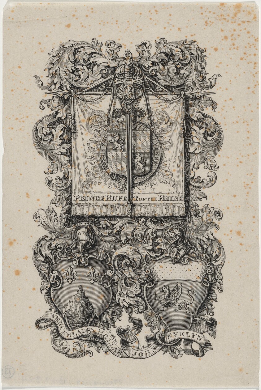 Coat of Arms of Prince Rupert, Hollar and Evelyn