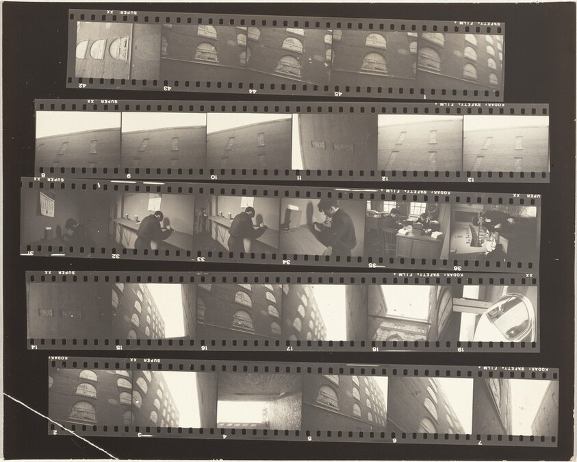 White dove--New York City no number