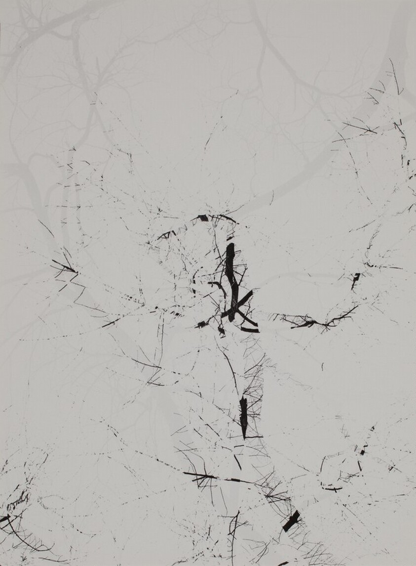 Multiple Exposure Trees