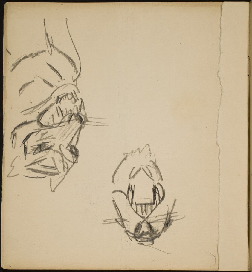 Zwei Tigerstudien (Two Tiger Studies) [p. 8]